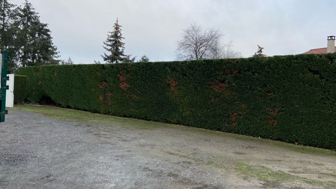 Entretien espaces verts et extérieurs, 2JCF CONCEPT
